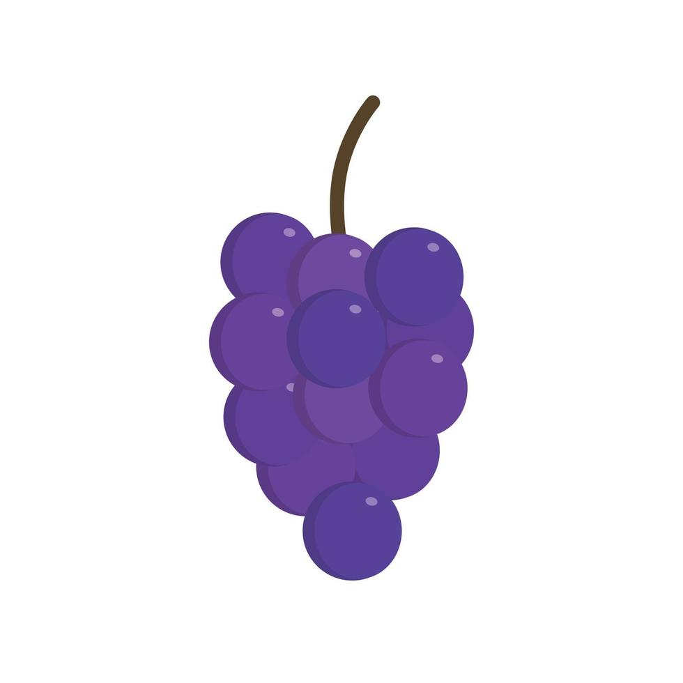 racimos de uvas moradas icono en diseño plano vector