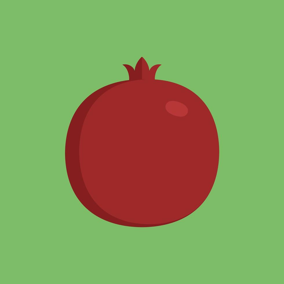 Pomegranate icon in flat design with green background vector