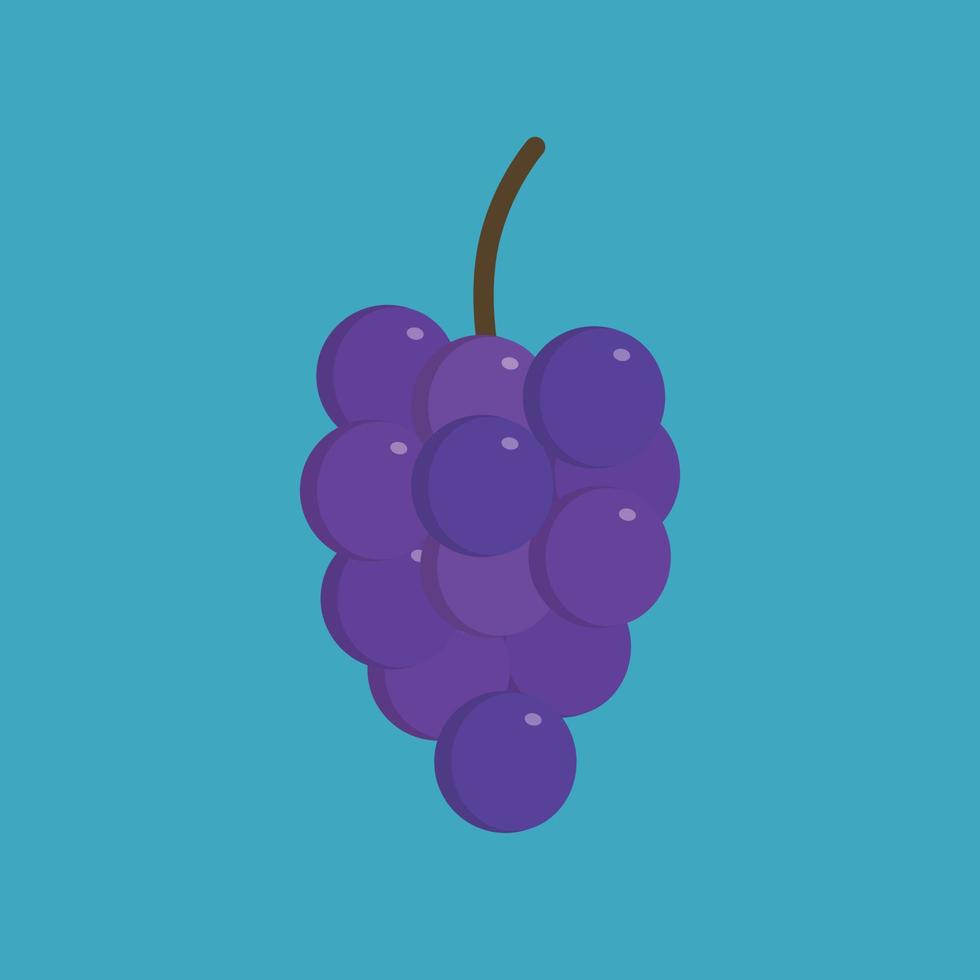 Racimos de icono de uvas moradas en diseño plano de sombra larga vector