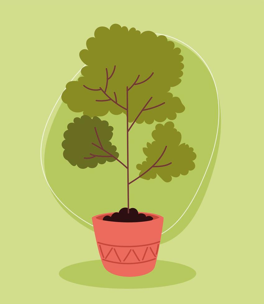 planta de interior árbol naturaleza vector