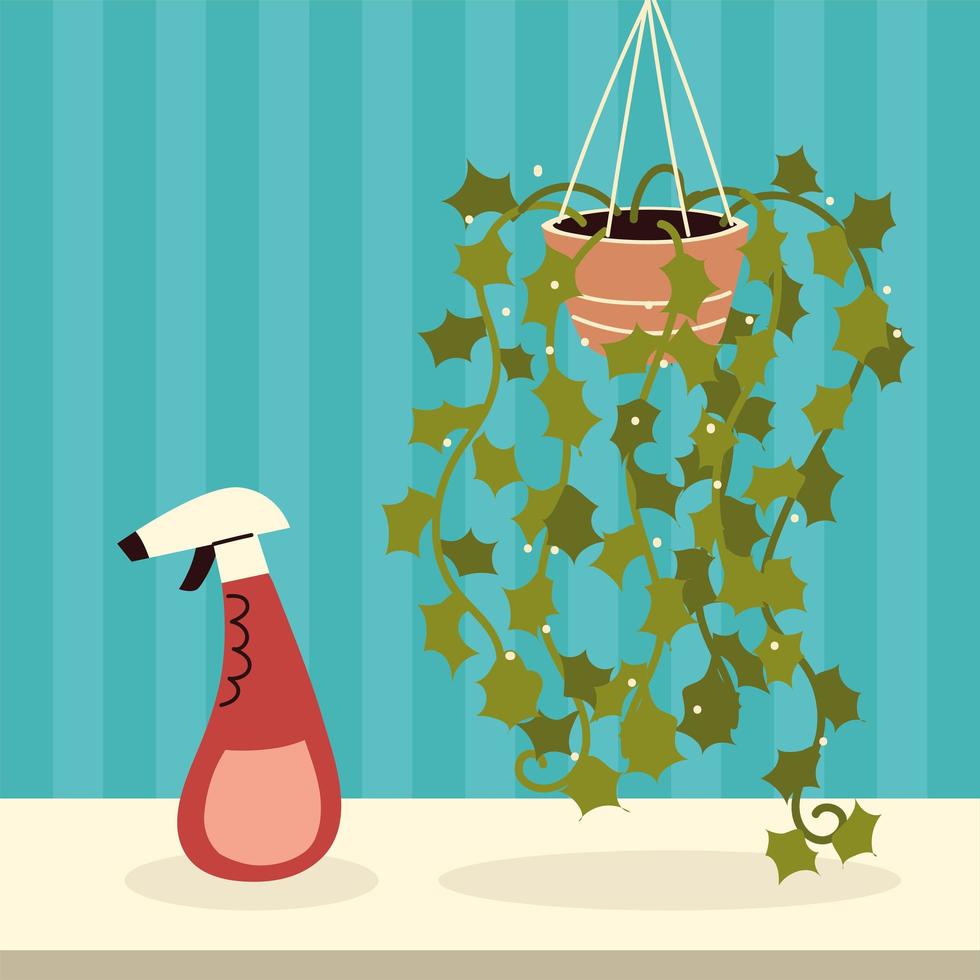 hanging houseplant and spray vector