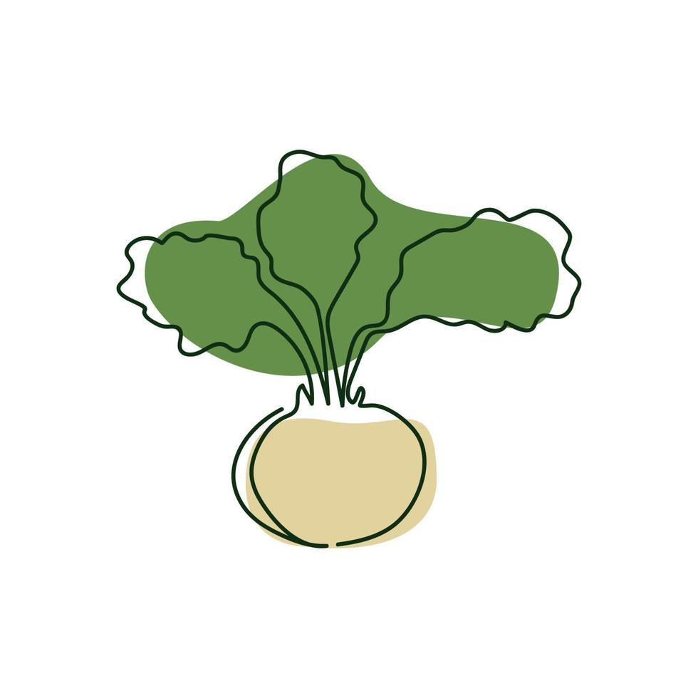 drawn by a solid one line half white kohlrabi with green leaves on a background of abstract spots of green and beige on a white background vector