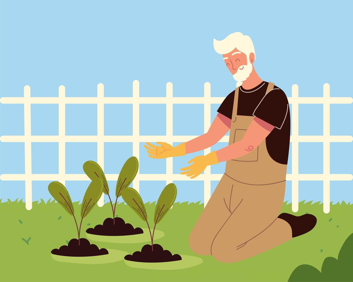 old man planting in the field vector