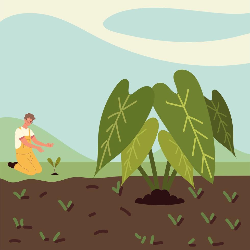 chico plantando campo vector