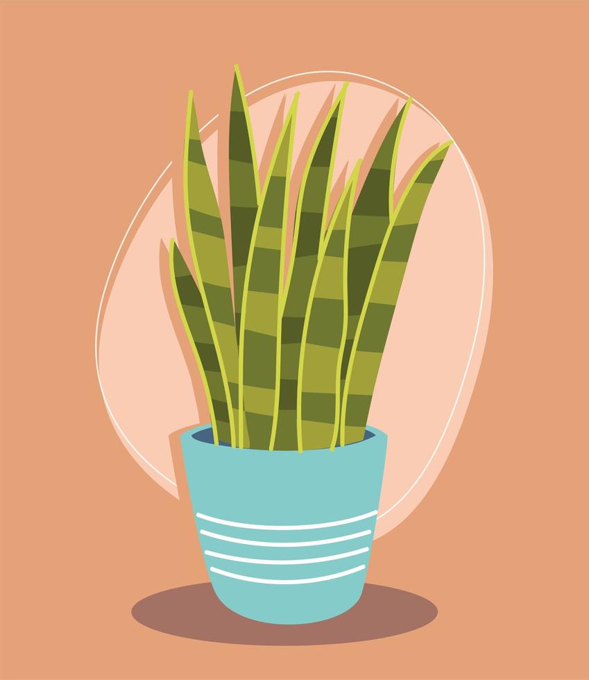 plant in pot vector