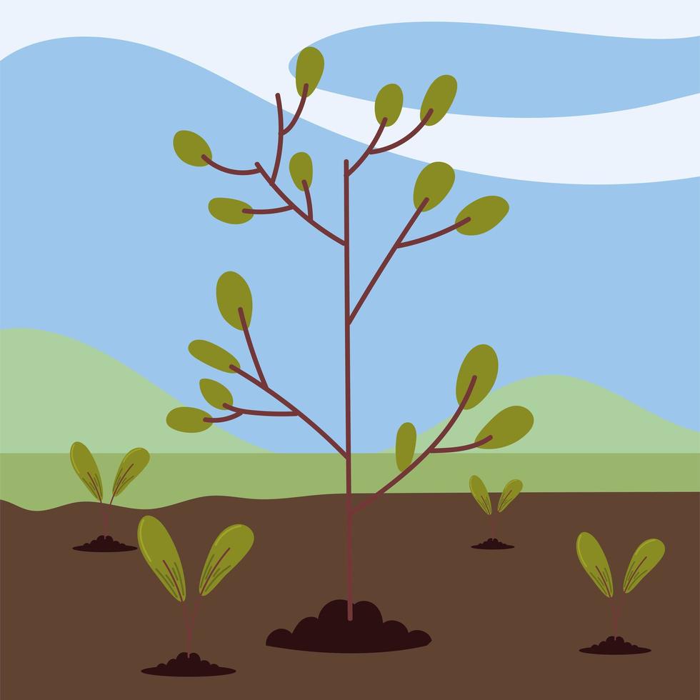 growth tree in the field vector