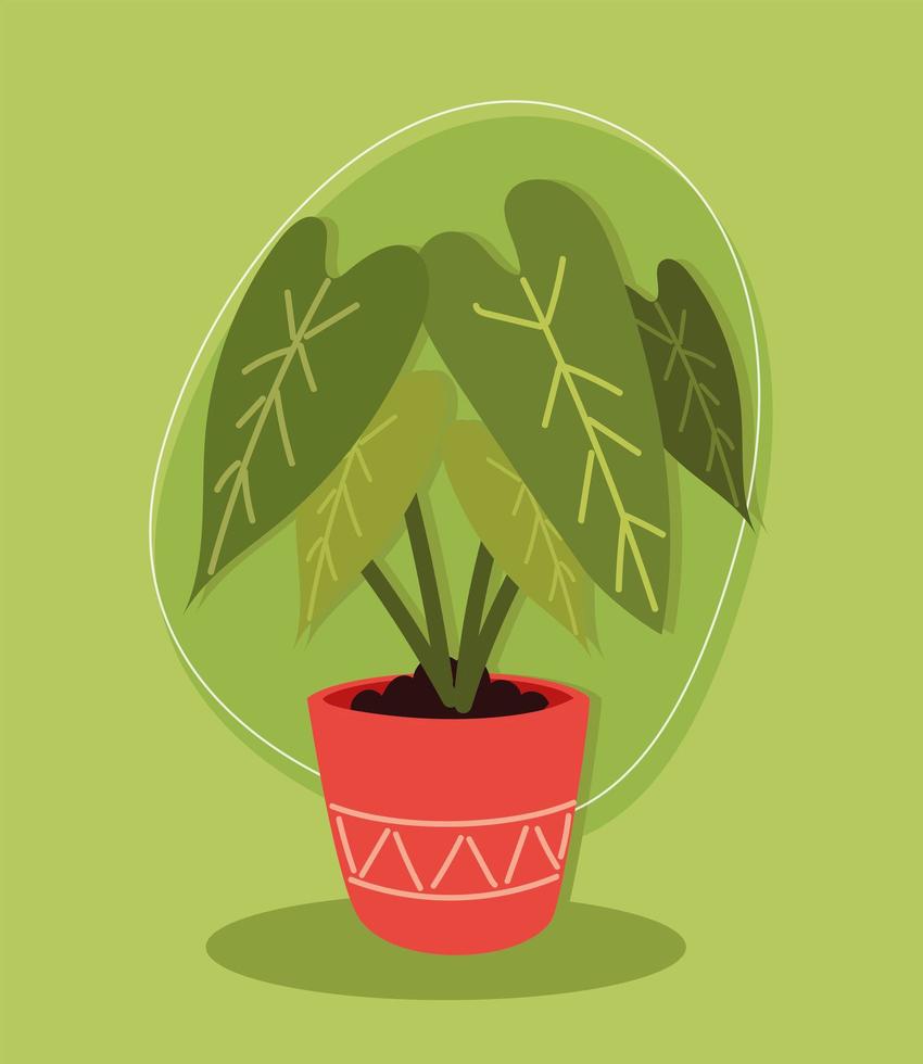 nature plant in pot vector
