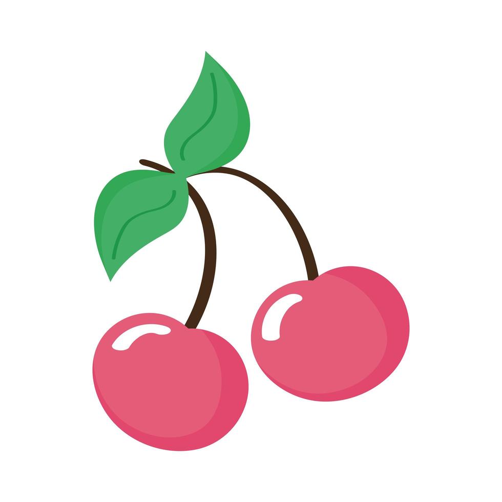 sweet crerries fruits vector