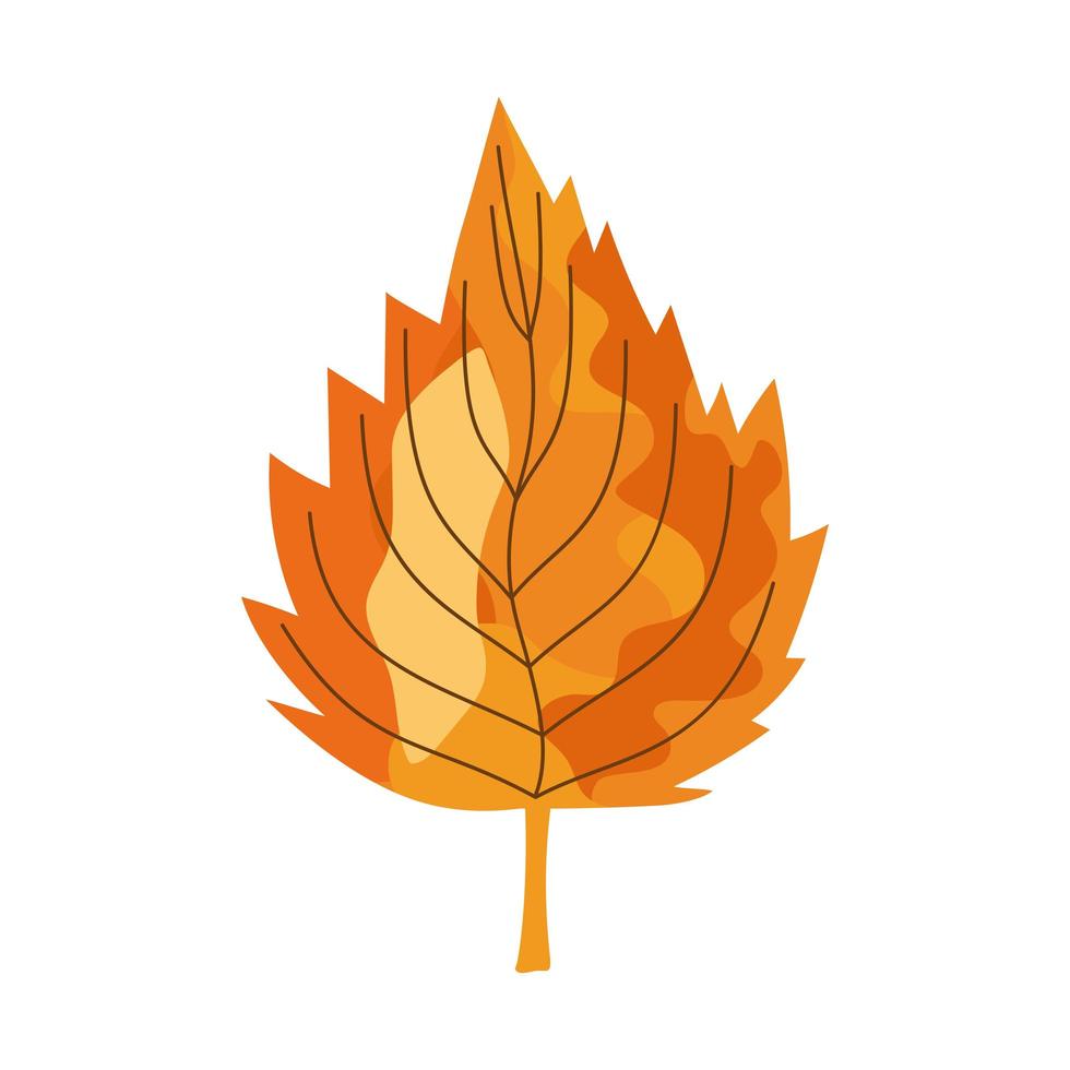 nature autumn season leaf vector