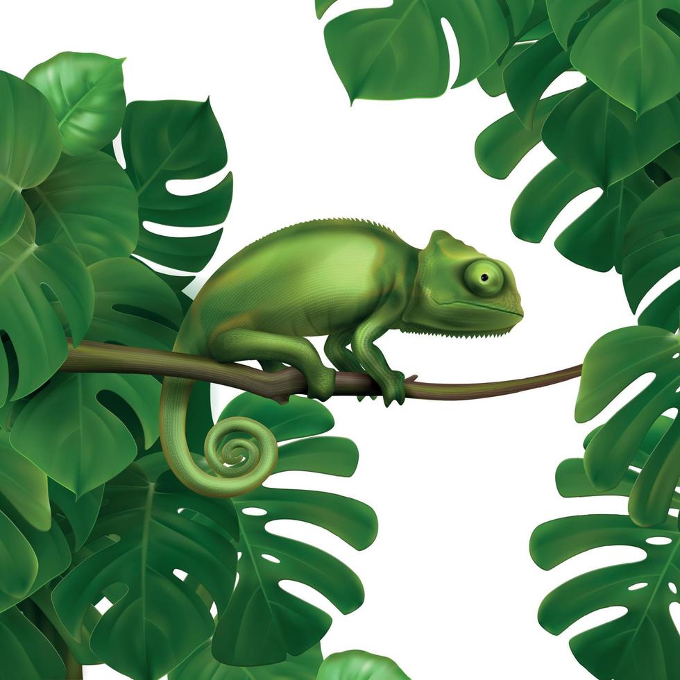 camaleón tropical imagen realista vector