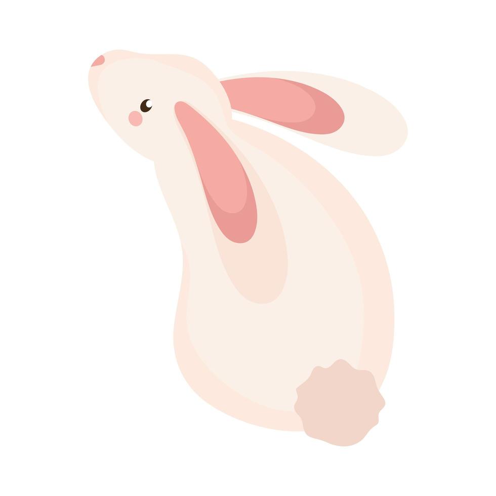 little rabbit back vector