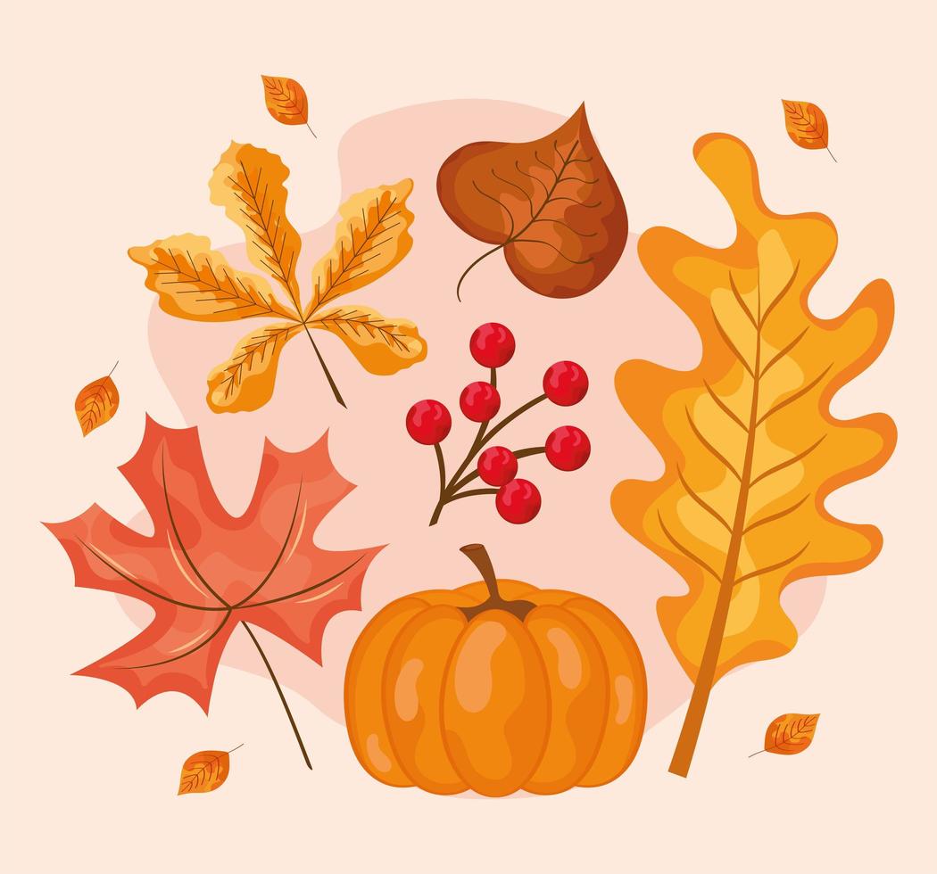 autumn leaves nature vector