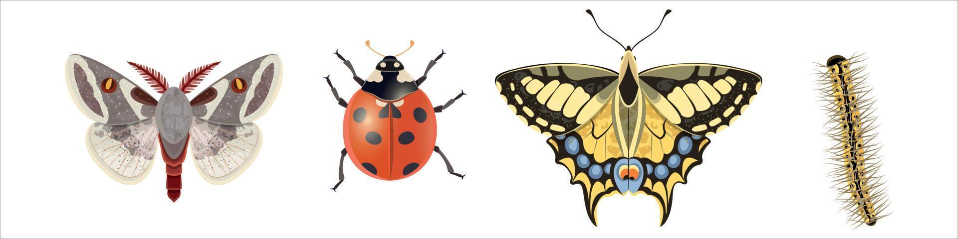 set of insects vector