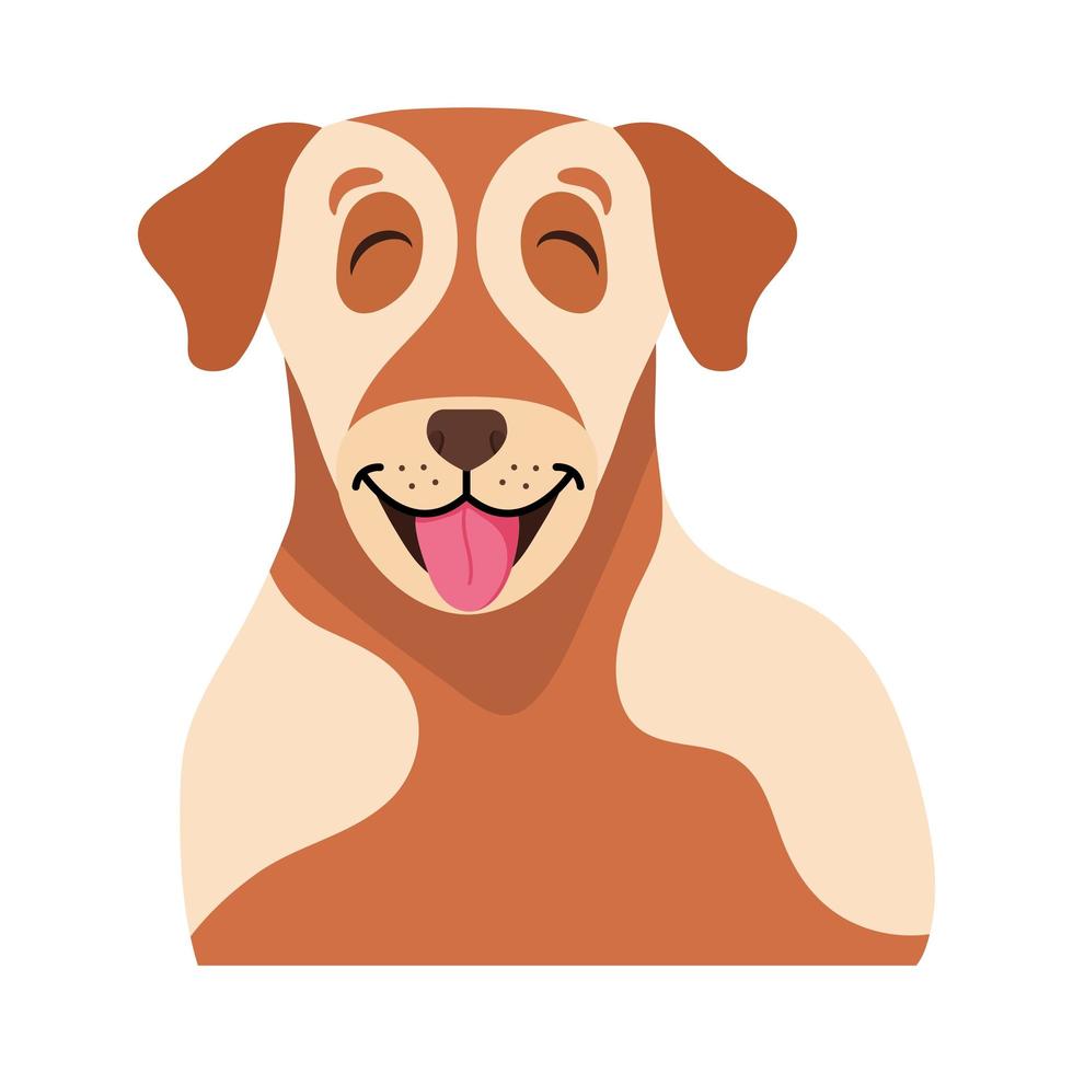 face of brown dog vector