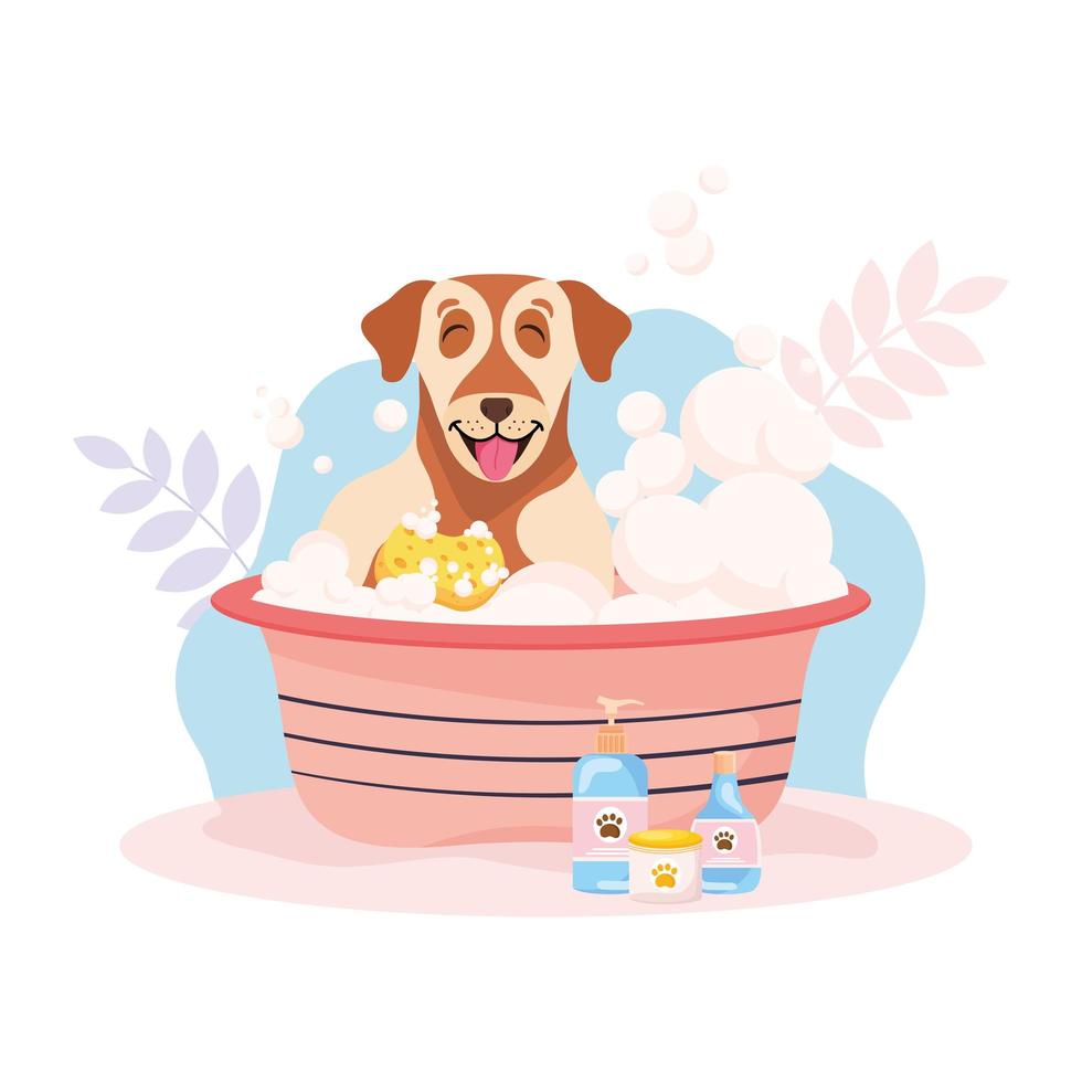 dog taking a bath vector