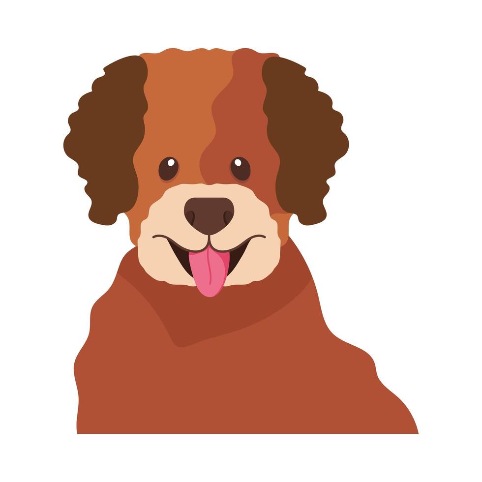 lovely dog face vector