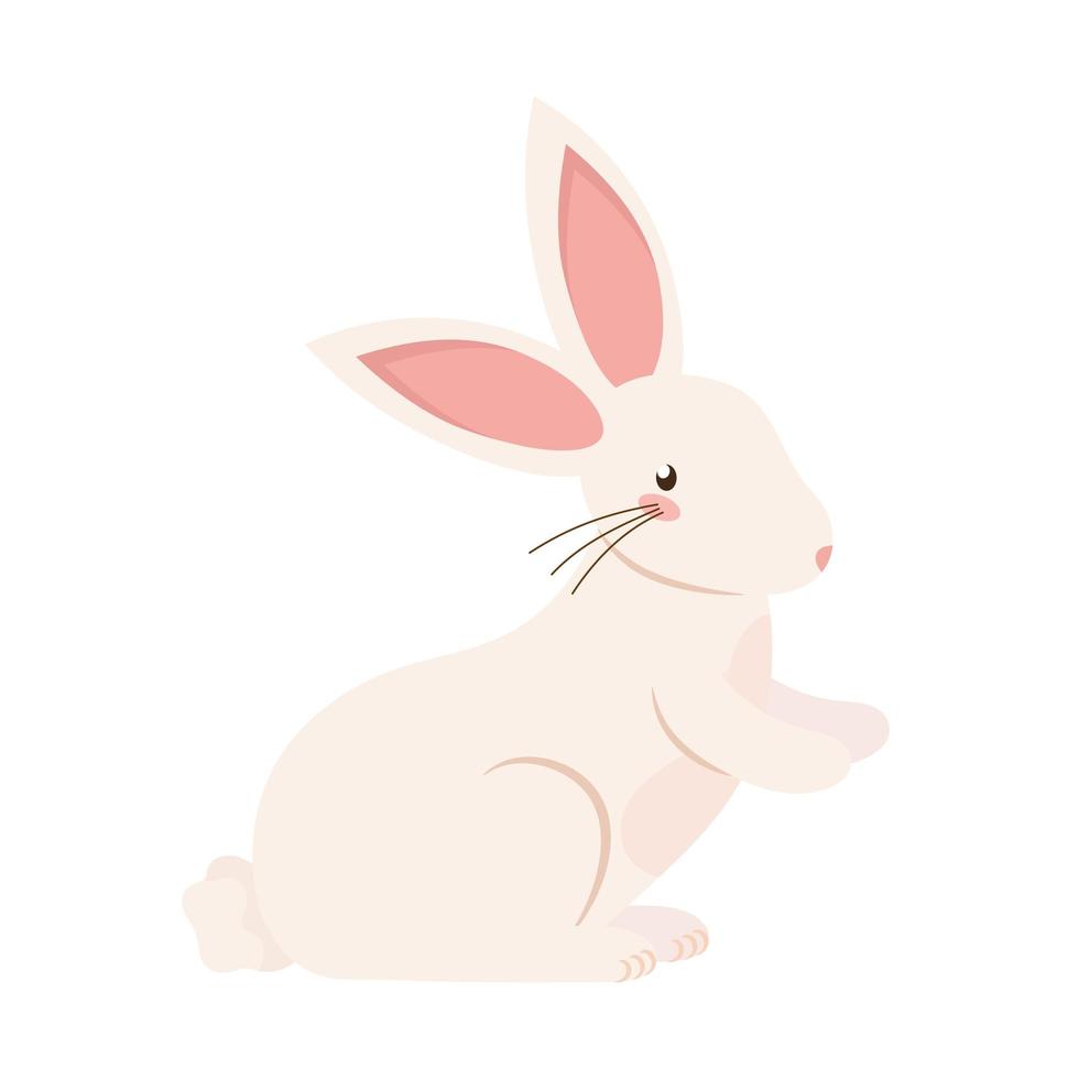 small rabbit animal vector