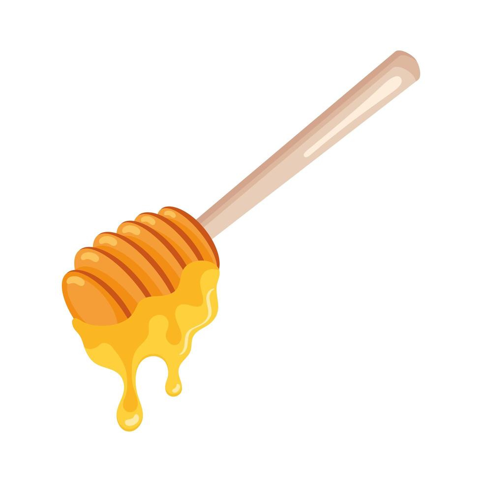 wooden honey spoon vector