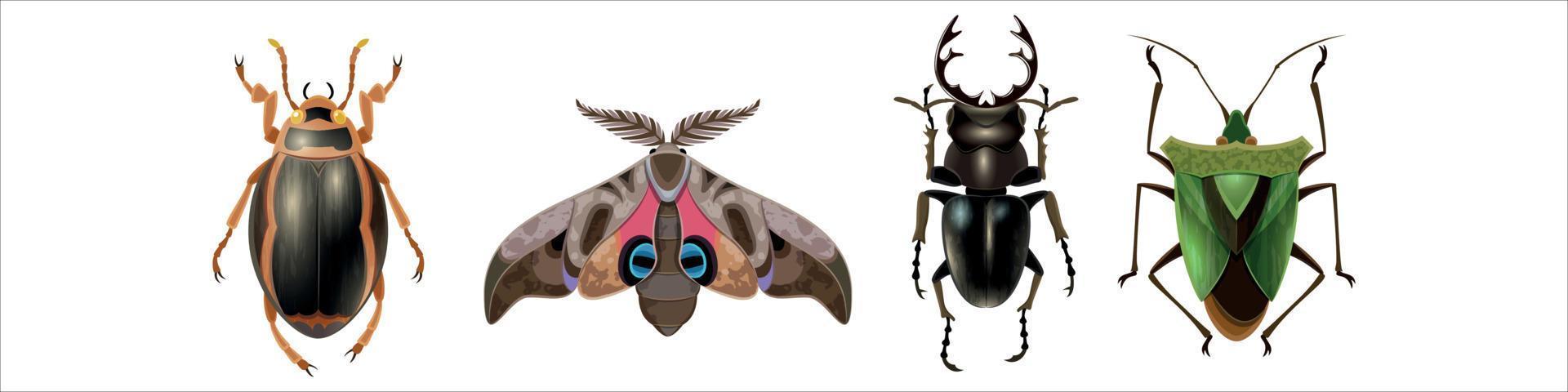 lindos insectos felices vector