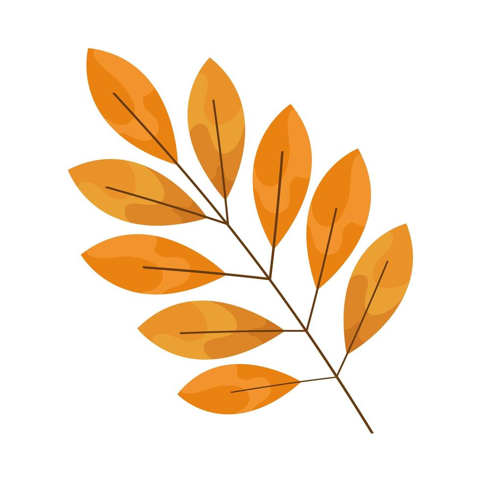 rama de otoño con hojas vector