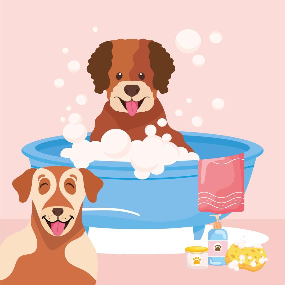 perros tomando un baño vector