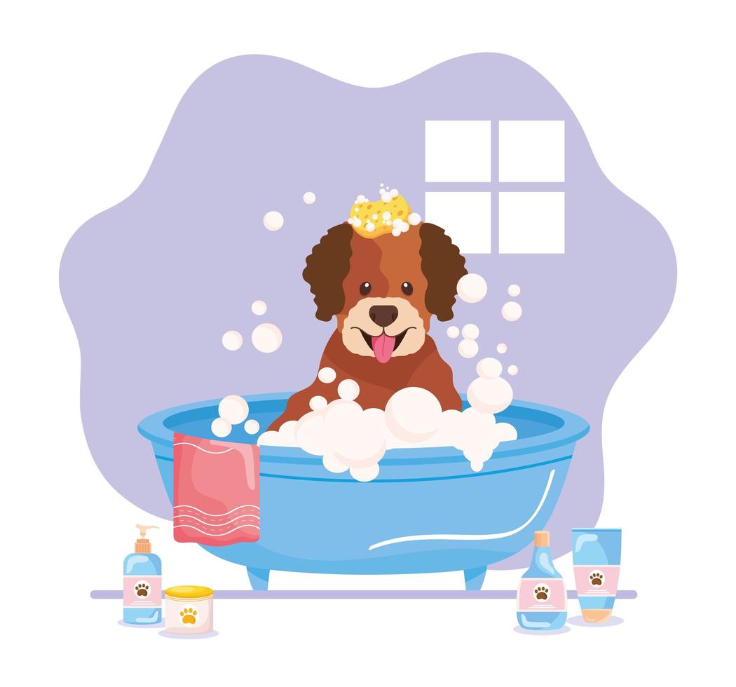 pet in bathtub vector