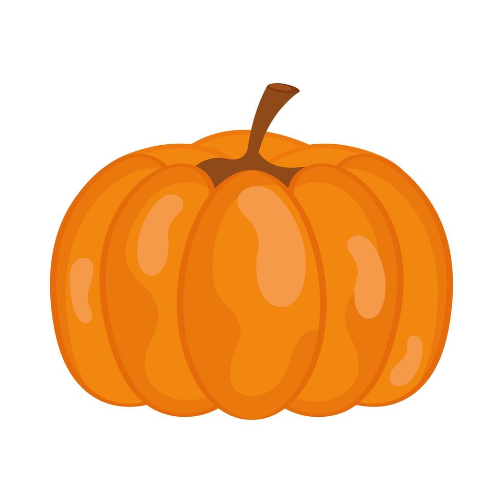 pumpkin vegetable icon vector