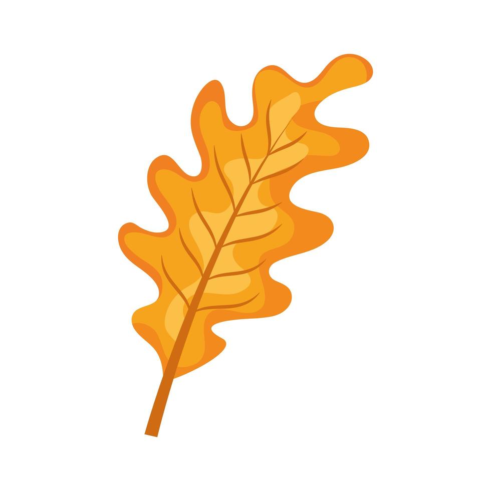 autumn oak leaf vector