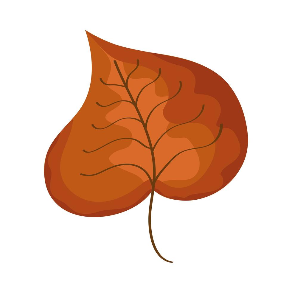autumn birch leaf vector
