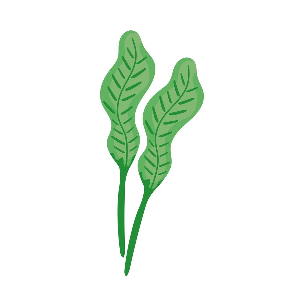 fresh green leaves vector