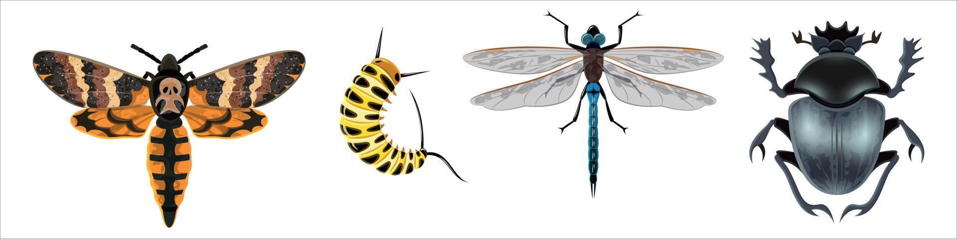 Insects or bugs vector