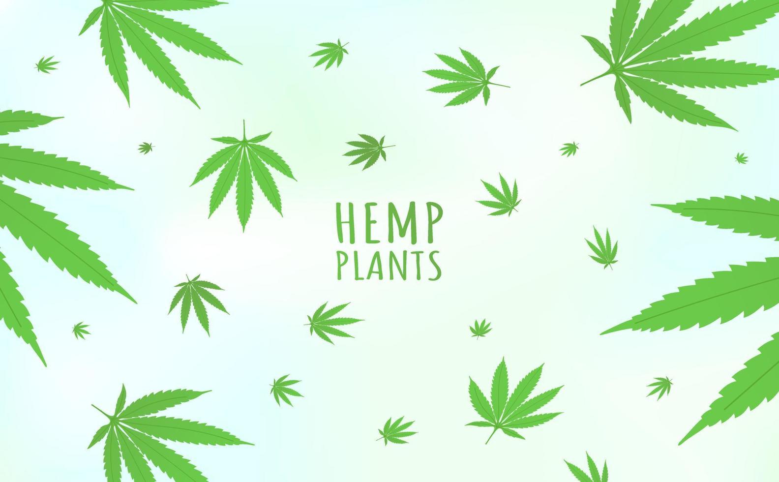 Cannabis hemp plants background horizontal pattern with marijuana hemp plant green leaves flat style design vector illustration isolated on bright background.