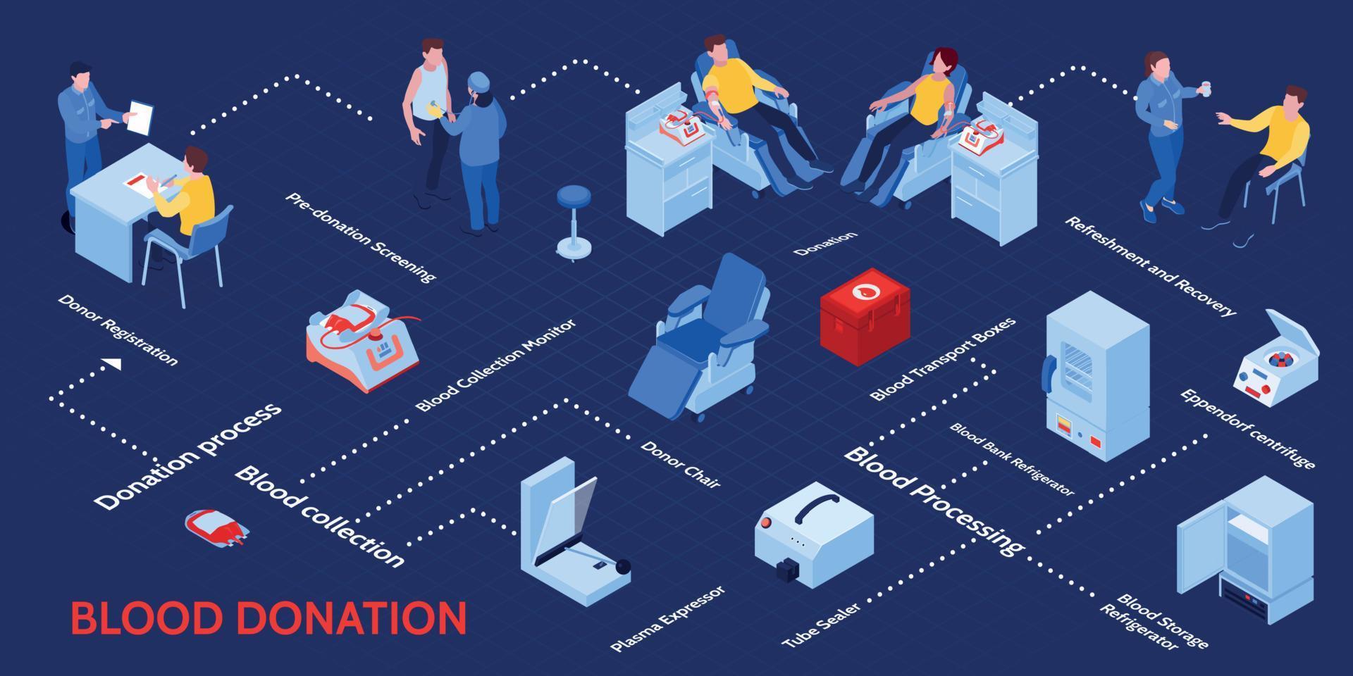 Blood Donor Isometric Infographics vector