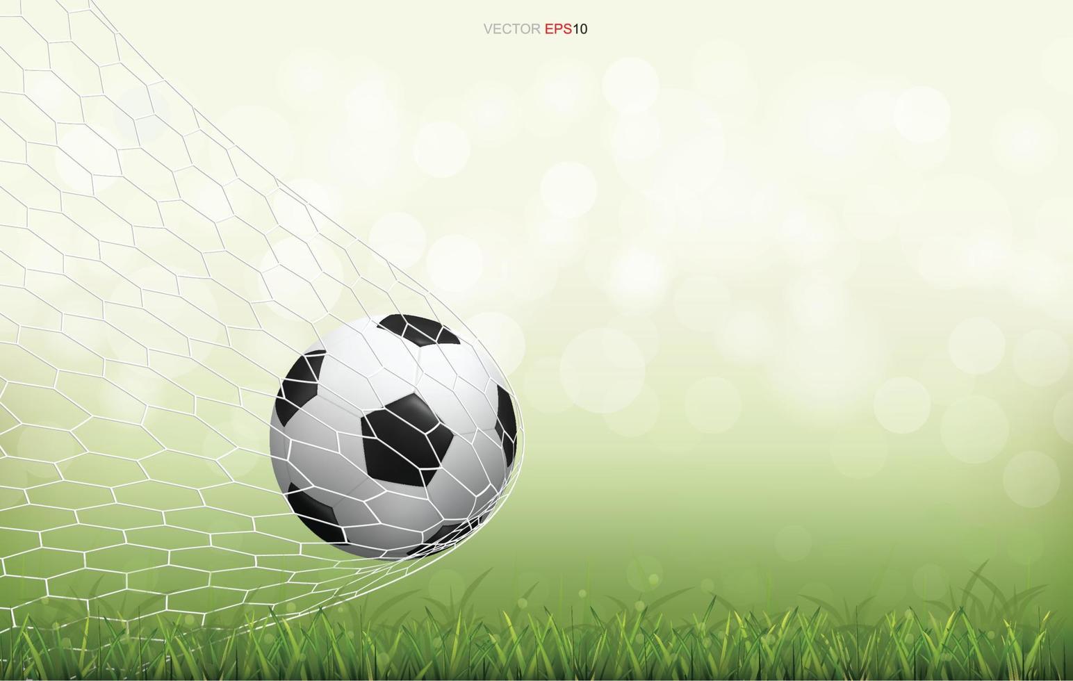 Soccer football ball on green grass field with light blurred bokeh background. Vector. vector