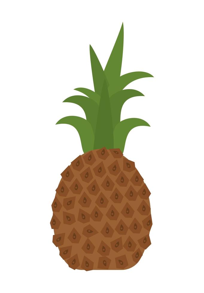 Isolated pineapple fruit vector