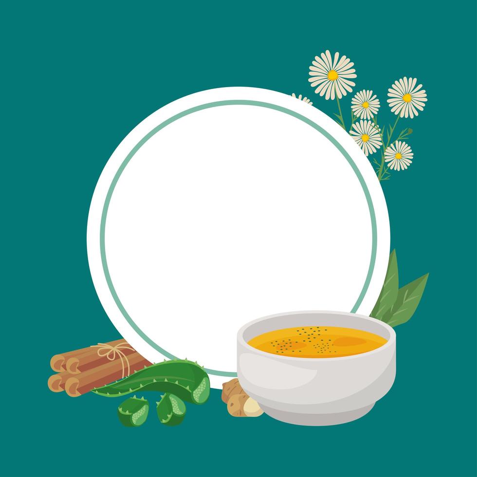 home remedies circular frame vector