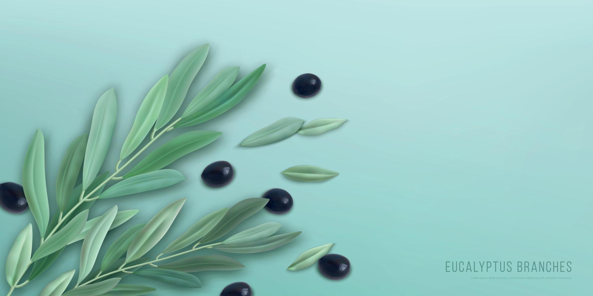Realistic Eucalyptus Background vector