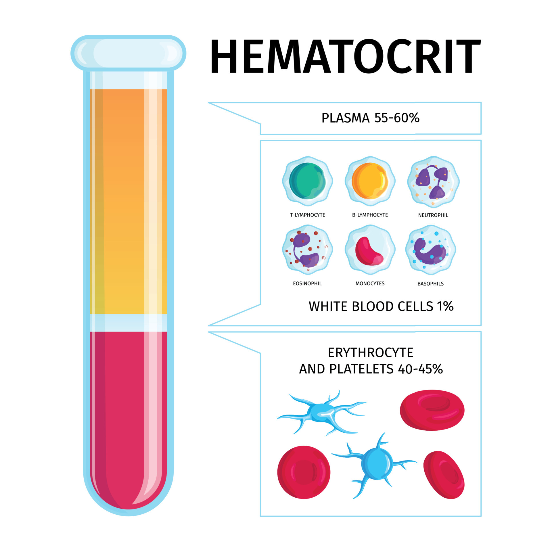 infografía de plasma de células sanguíneas 4217372 Vector en Vecteezy