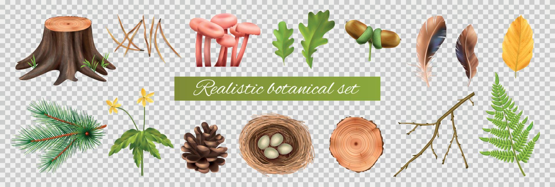 Botanical Icons Transparent Set vector