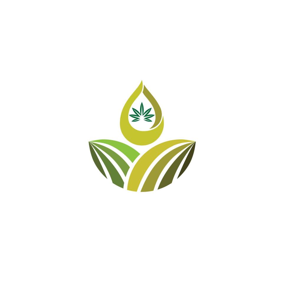 oil hemp logo vector