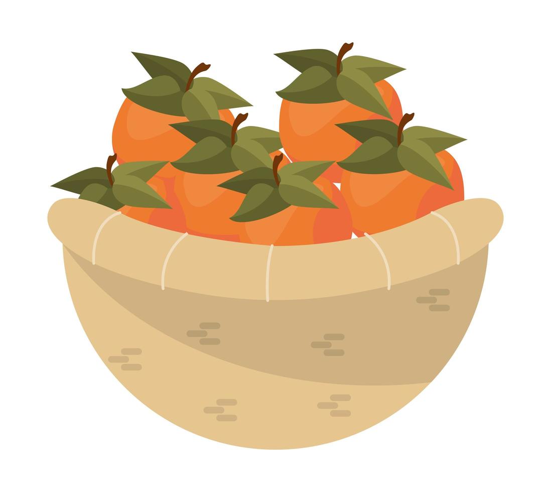 basket with oranges vector