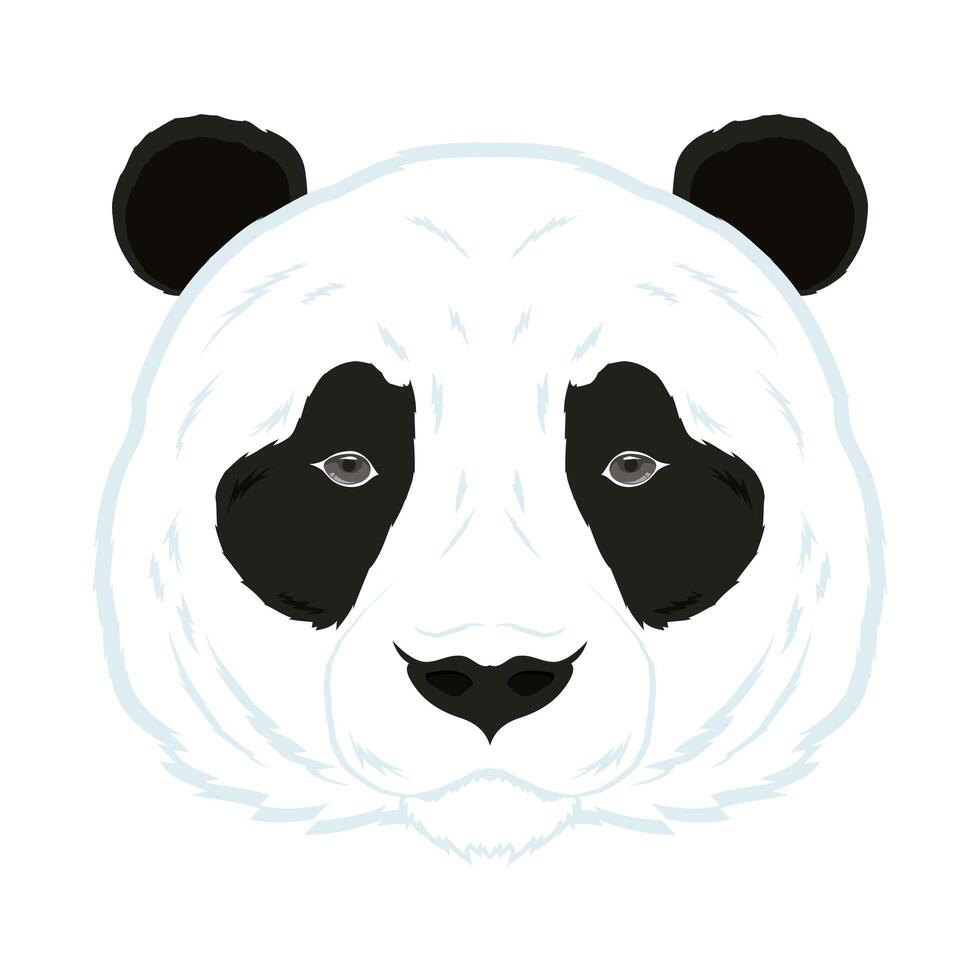 wild bear panda animal head fauna character vector