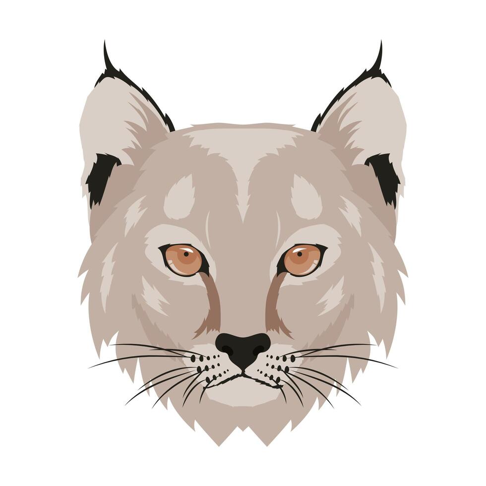 wild feline animal head fauna character vector