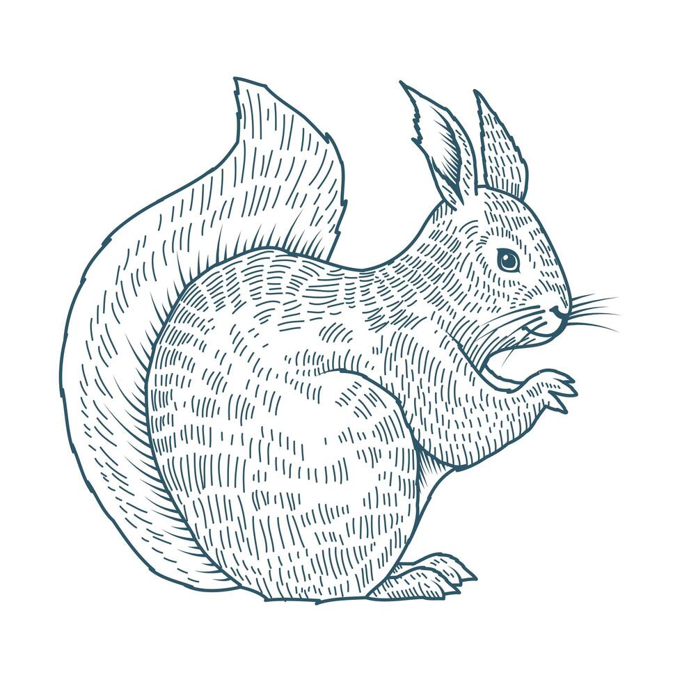 chipmunk realistic character drawn style icon vector