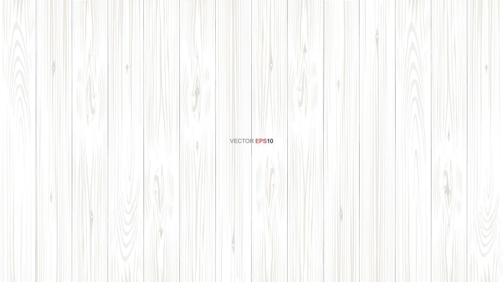 White wood pattern and texture for background. Vector. vector