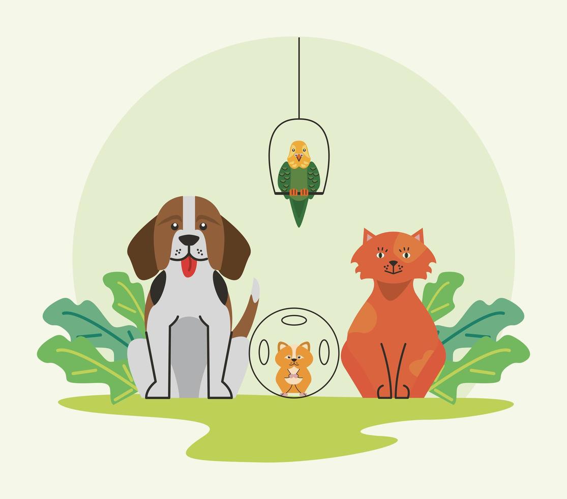 four pets characters vector