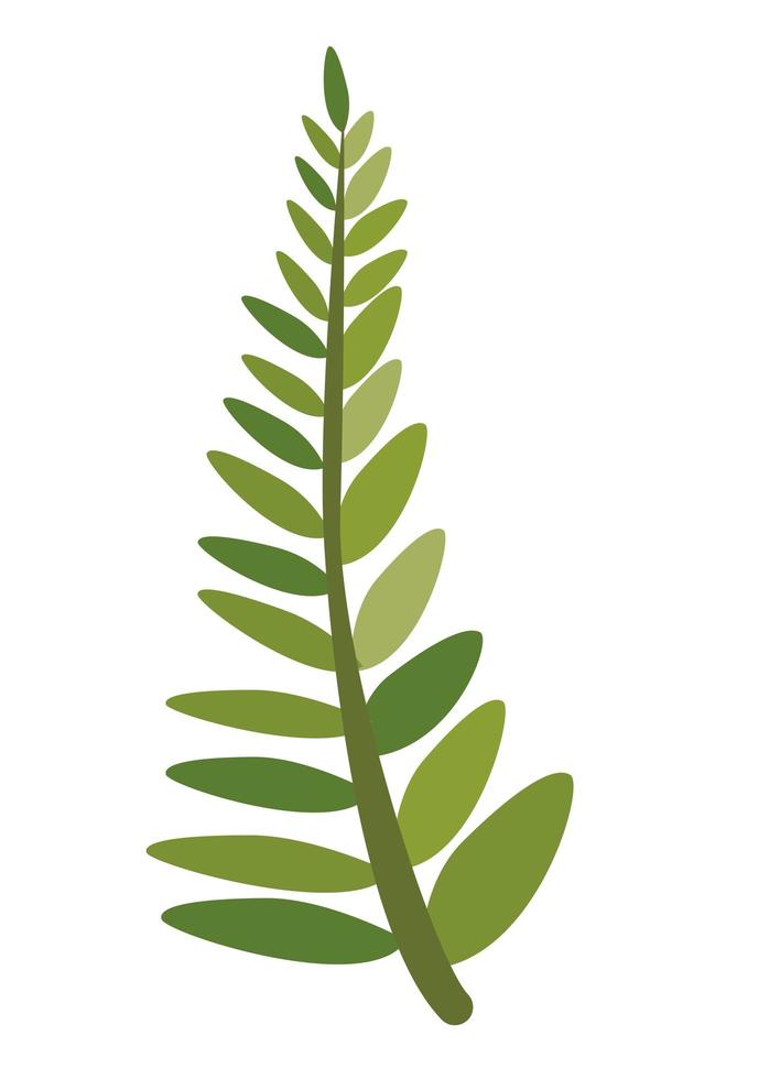 branch with tropical leafs vector