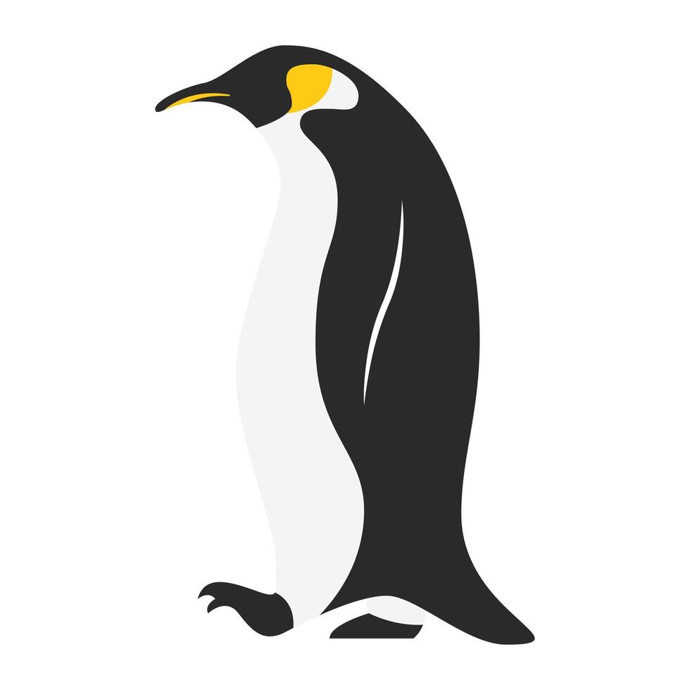 little cute penguin bird walking character vector