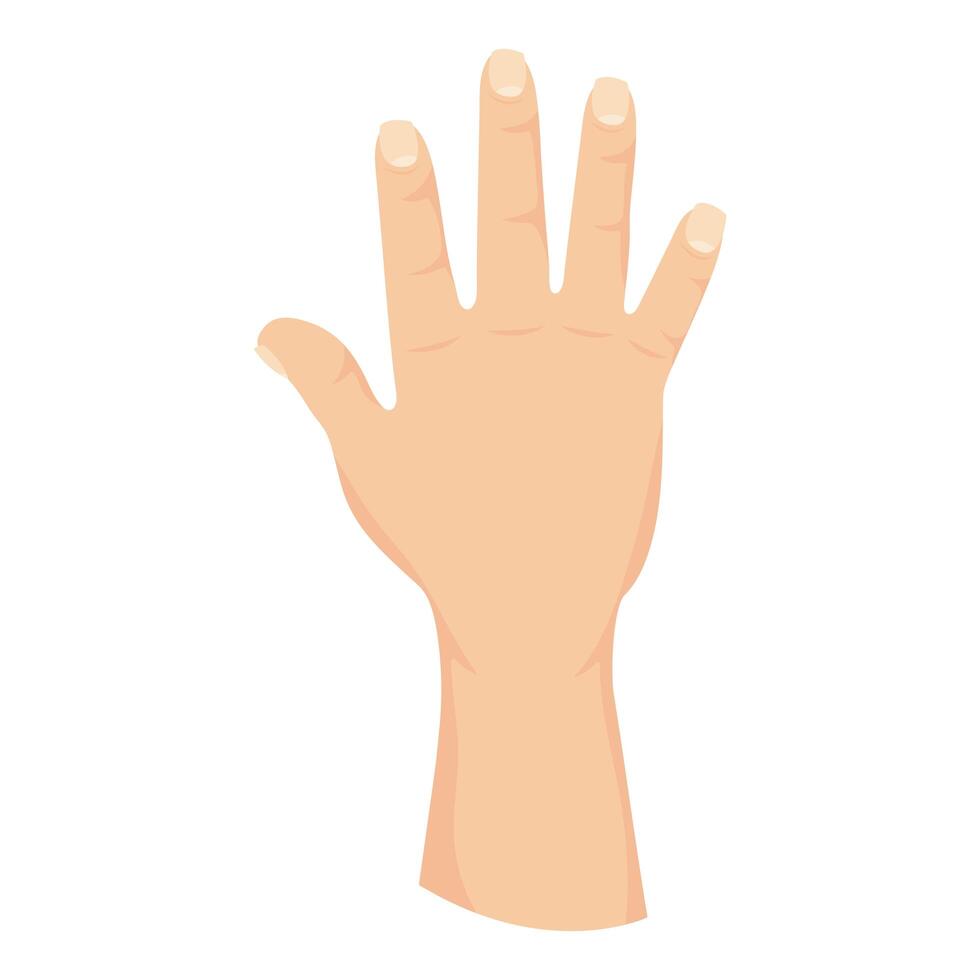 hand human stop isolated icon vector