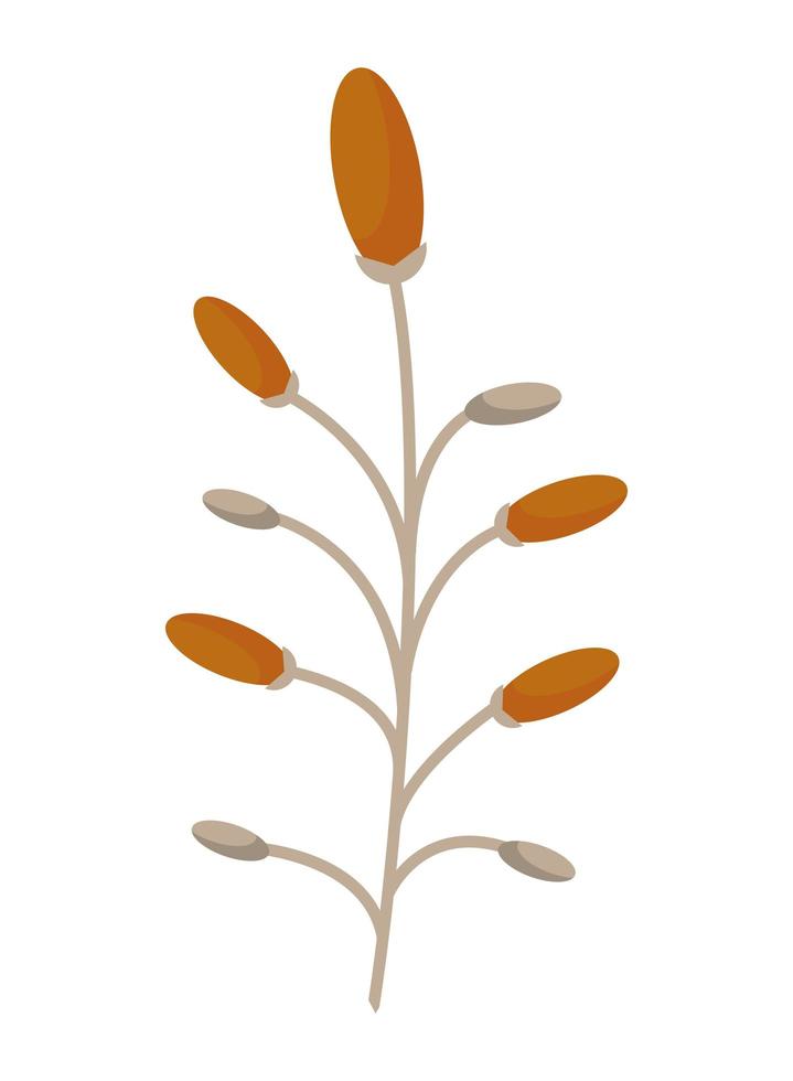 autumn season plant vector